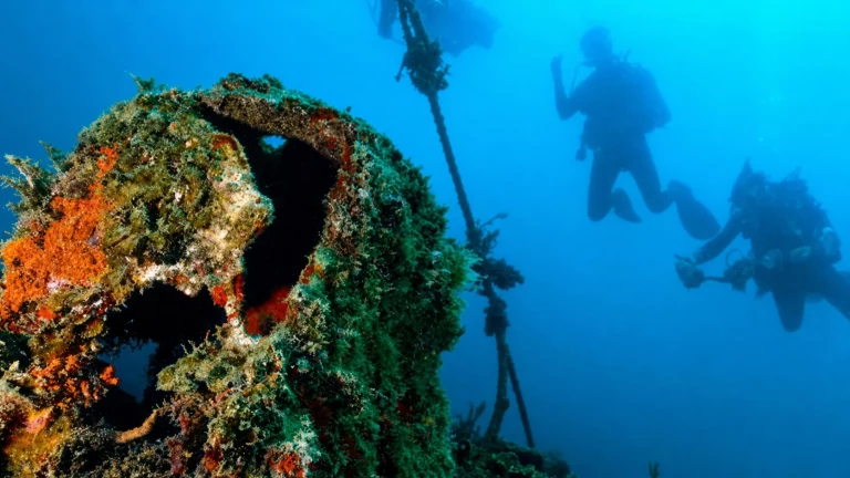 Croisière plongée à Coron