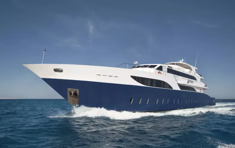 Odyssey - St John’s Reef avec Seafari