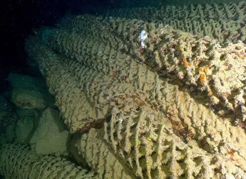 Croisière plongée à Coron