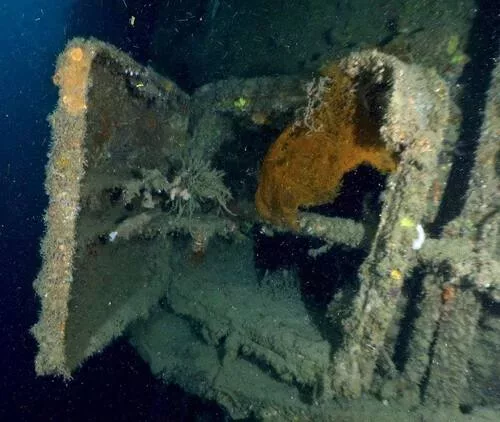 Croisière plongée à Coron